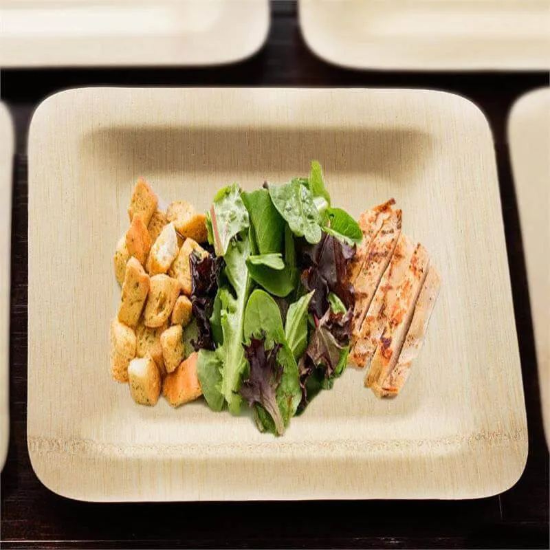 10 Pack 9" Eco Friendly Bamboo Square Disposable Dinner Plates