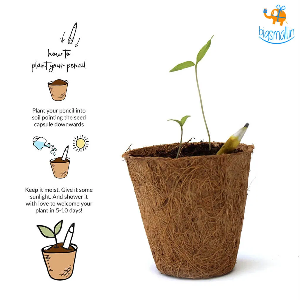 Eco-Friendly Plantable Seed Pencils