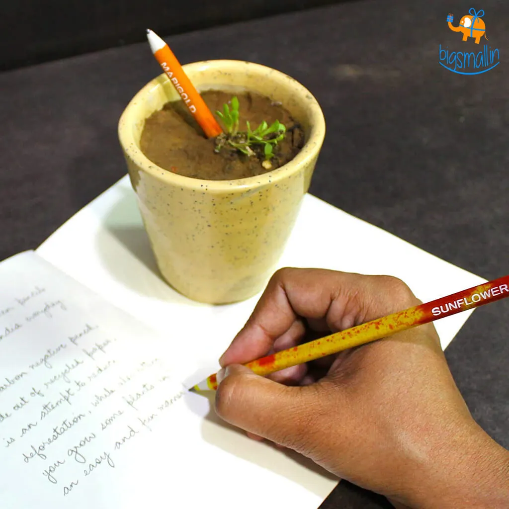 Eco-Friendly Plantable Seed Pencils