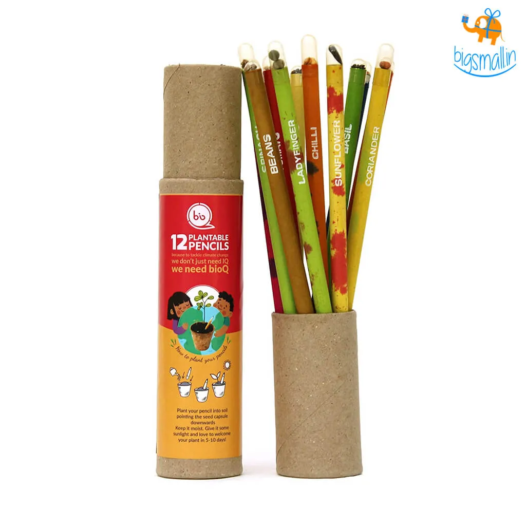 Eco-Friendly Plantable Seed Pencils