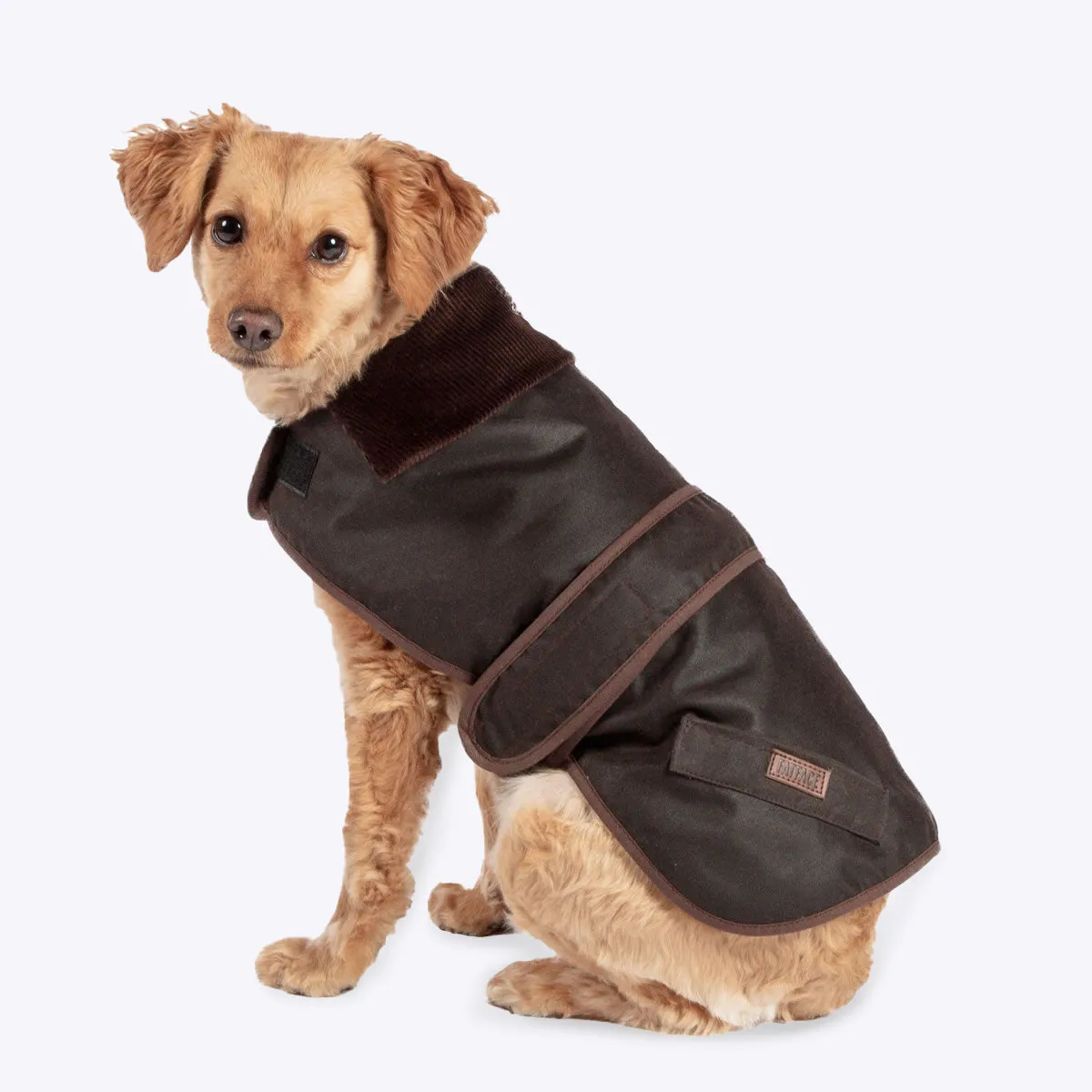 FatFace Sussex Waxed Dog Coat