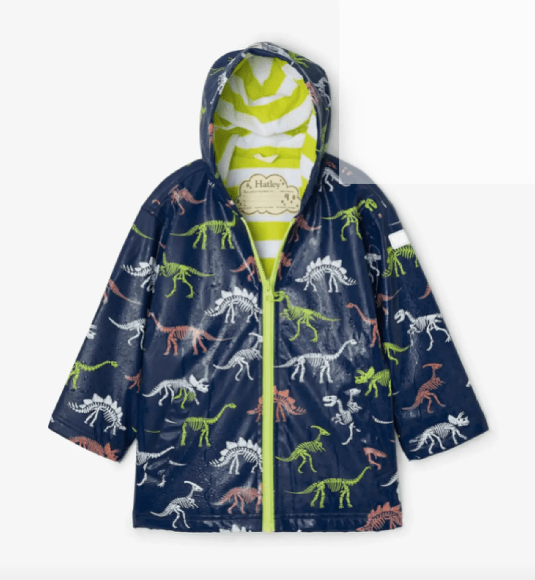 Hatley Boys Dino Fossils Color Changing Rain Jacket